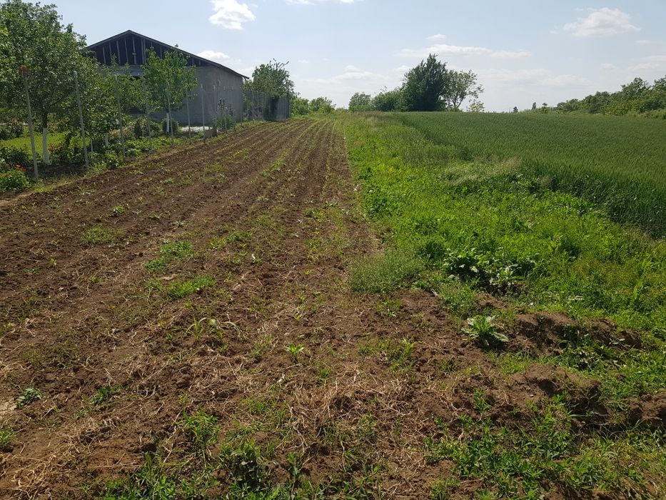 Vând teren Moara Vlasiei