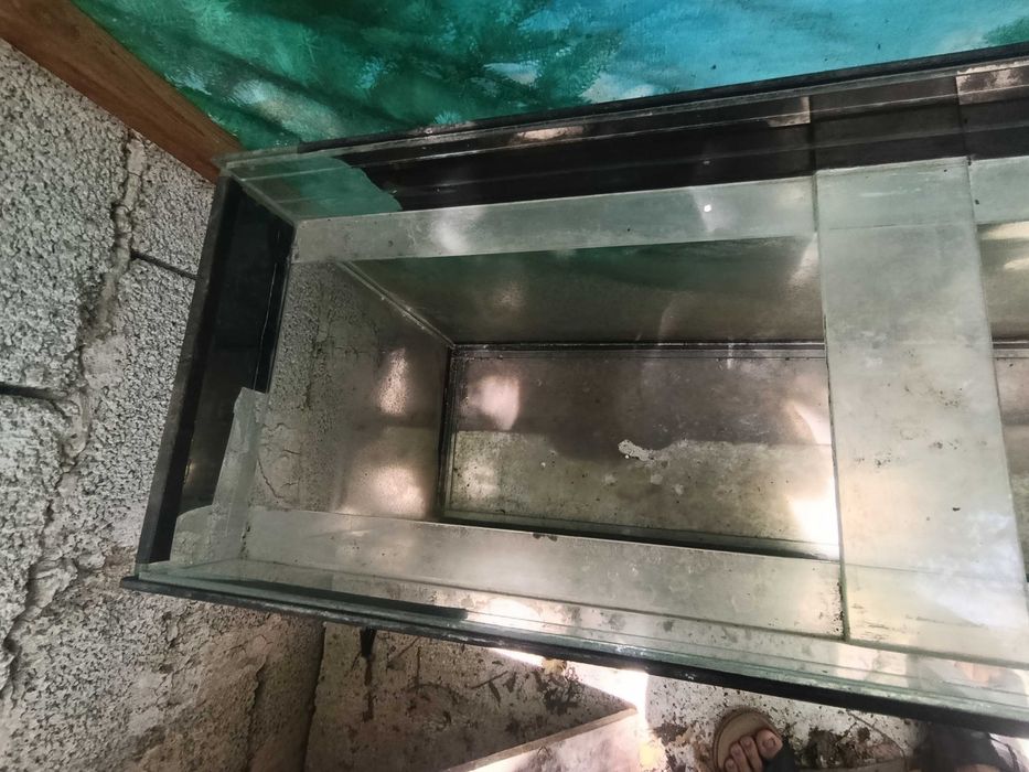 Аквариум ойнаси бу