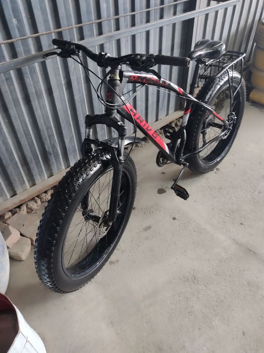 Baloni kotta valasepet narxi kelshamiz