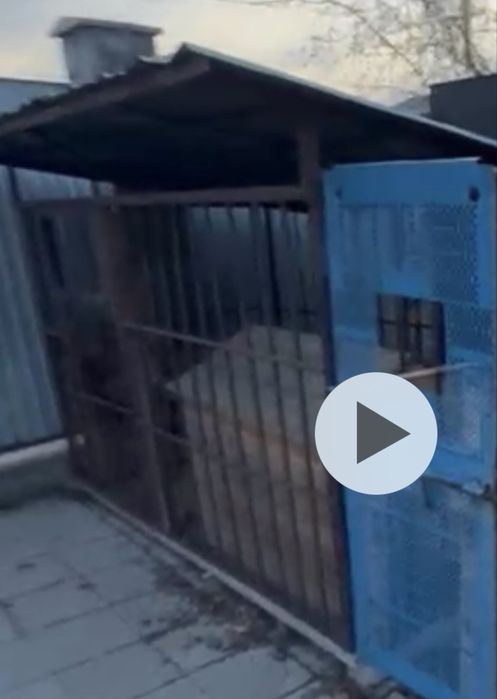 продам вальер для собак