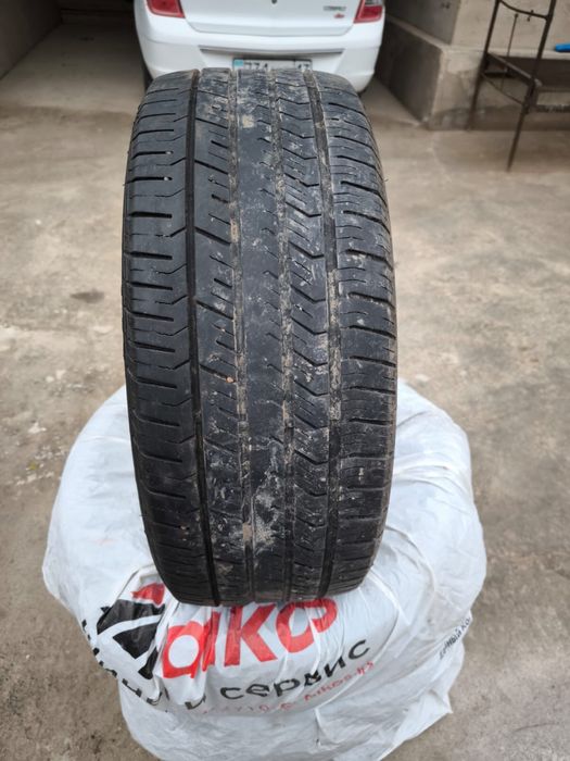 Жаздық дөнгелек жағдай жақсы