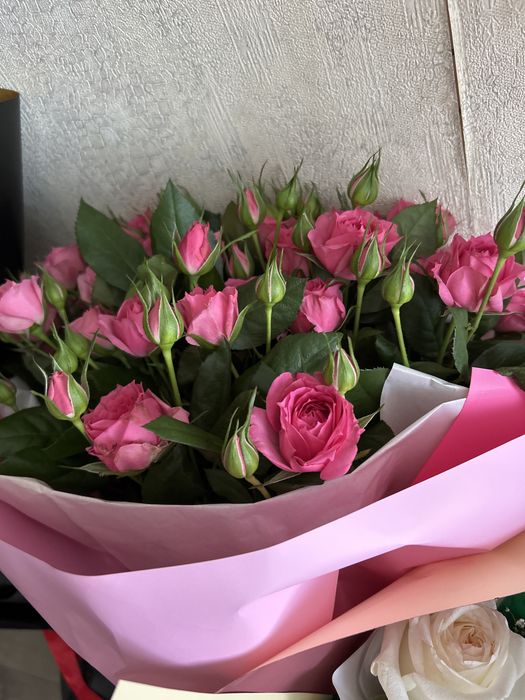 Продаю цветы по выгодной цене