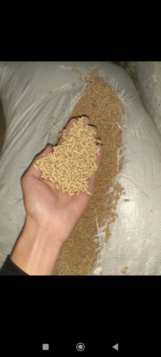 Asia Agro Food ishonchli tanlov.