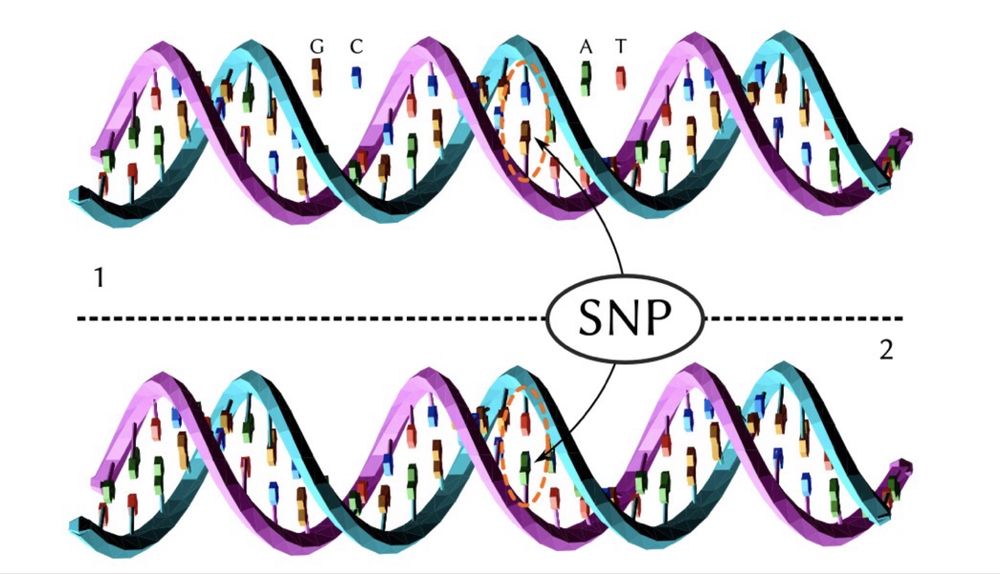 Analiză genetică personală