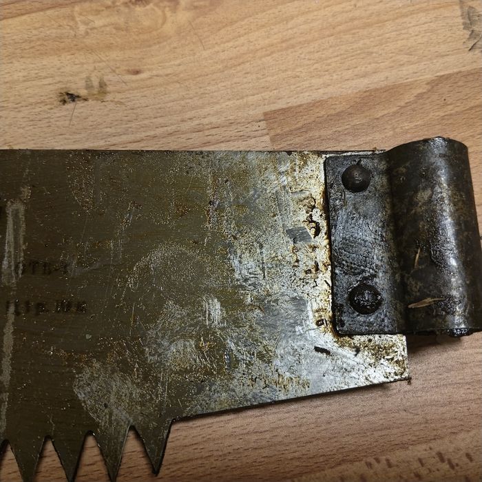 Пила Дружба, новая СССР.