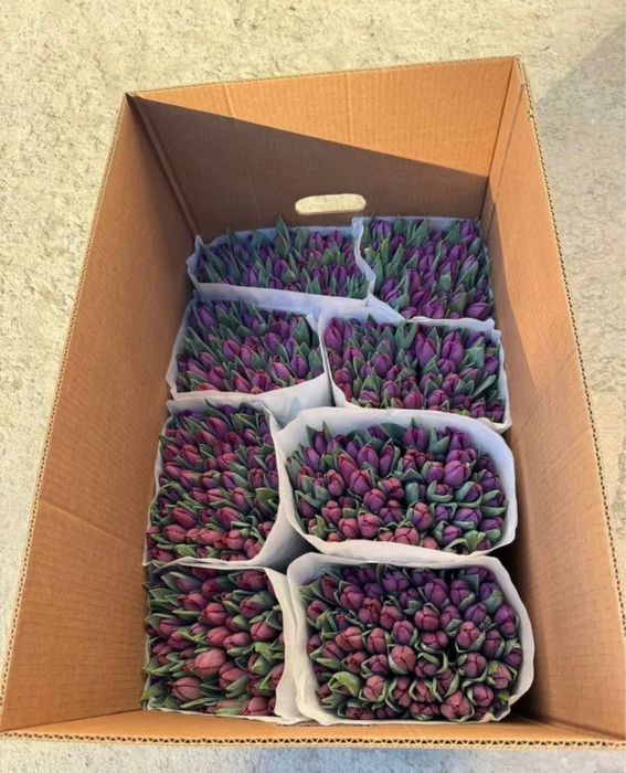 Тюльпаны с доставкой