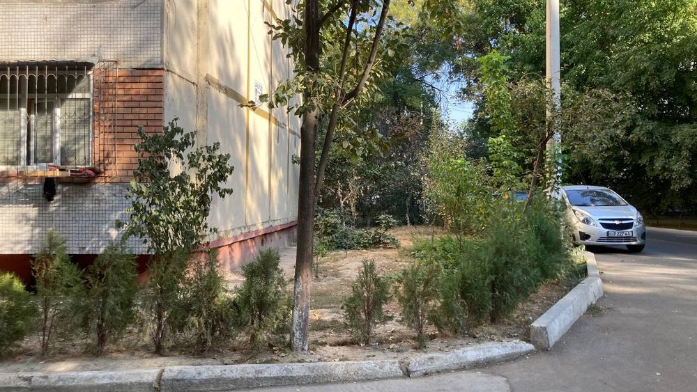 Уй сотилади Тошкент Чилонзор 19 квартал 2-дом