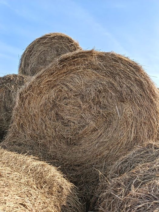 Продам сено в тюках