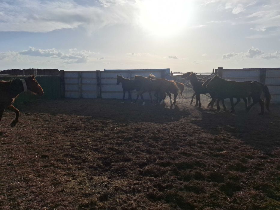 Саяжайдағы орыс секс видео