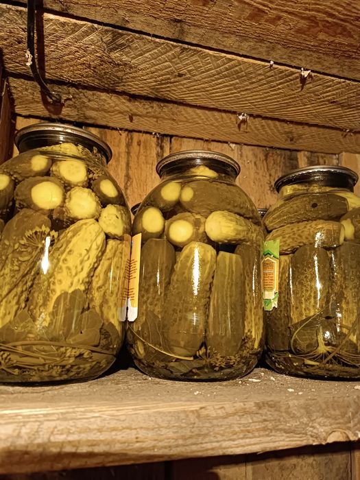 Продам солёные домашние огурцы