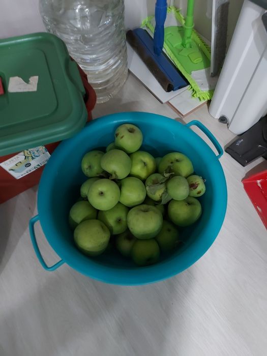 Земля 8 соток, за Телецентром