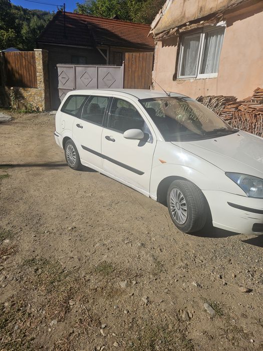 De vanzare foed focus