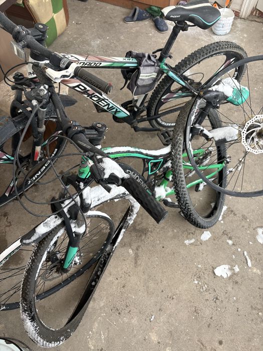 Велосипеды Phoenix