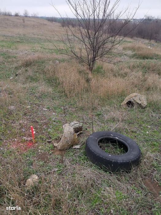 TEREN INTRAVILAN 306 mp – Palazu Mare, Constanta - Ocazie Unica