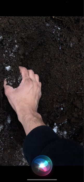 Чернозем в мешках Алматы