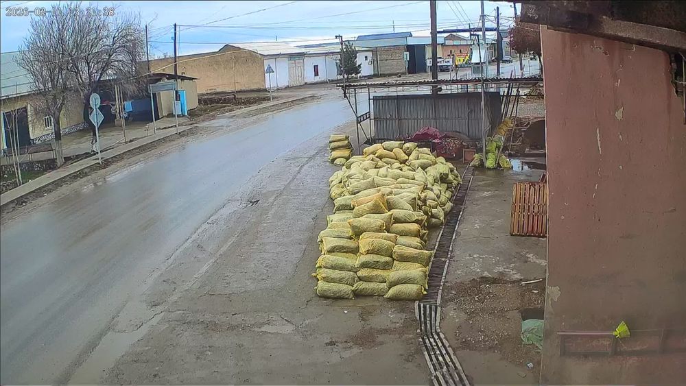 Silos senaj yaguar sotiladi toza solingan yamadan
