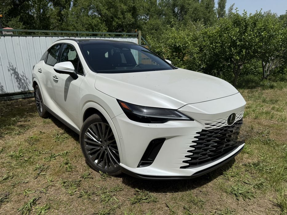 Полики резиновые для Лексус, модель RX 350