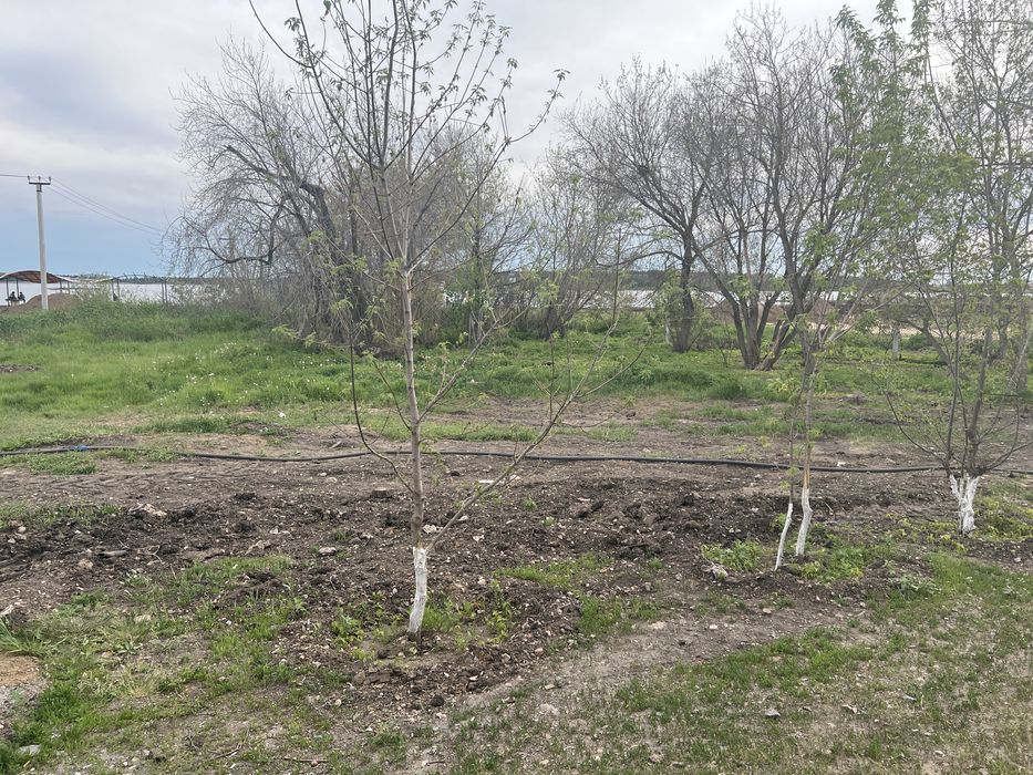 Продам земельный участок. 4,5 га.
