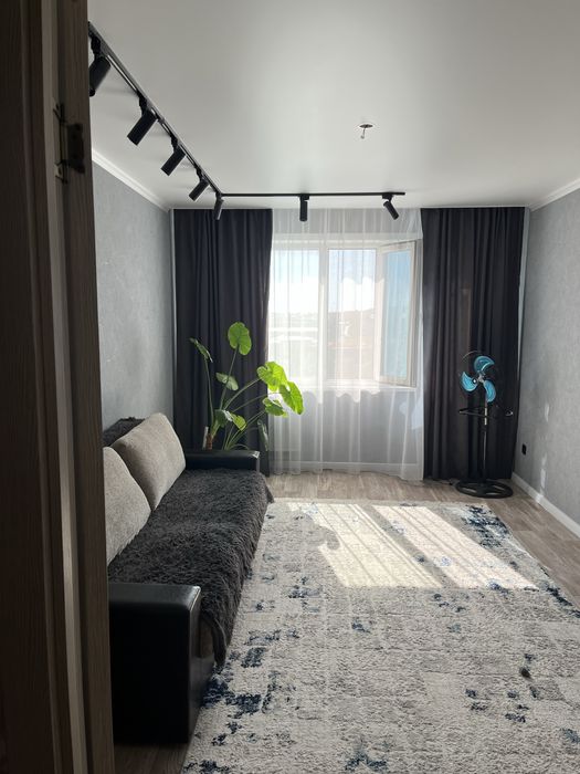 Отростки алоказии