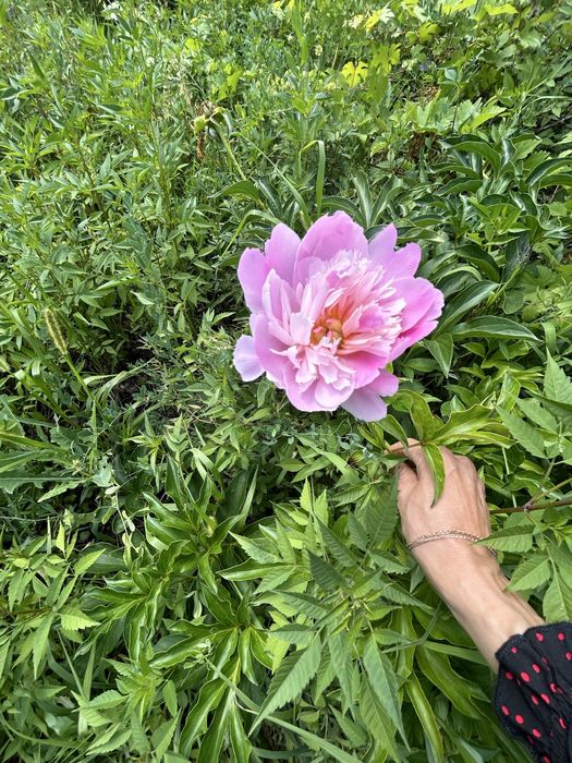 Подам или обменяю дачу в Уральске