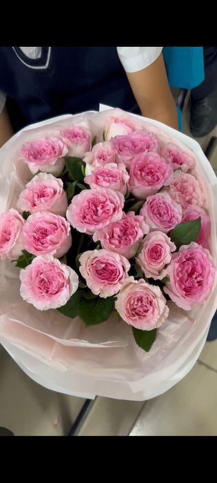 Өте керемет,қазір келді