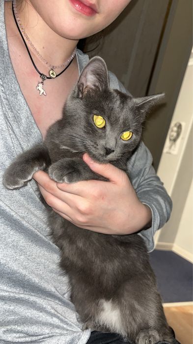 Котенокк Девочка