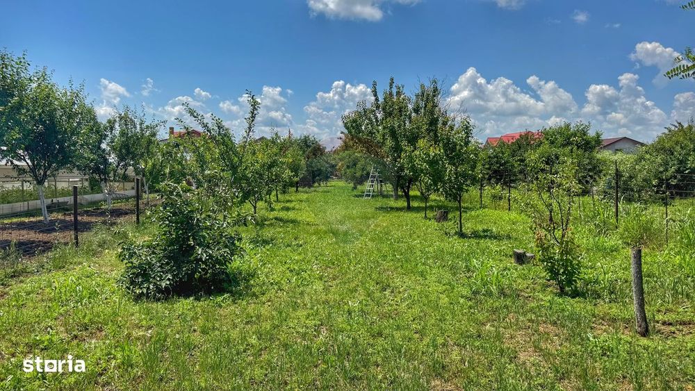 Casă batraneasca cu 3 camere-Oportunitate de Investiție in Domnesti