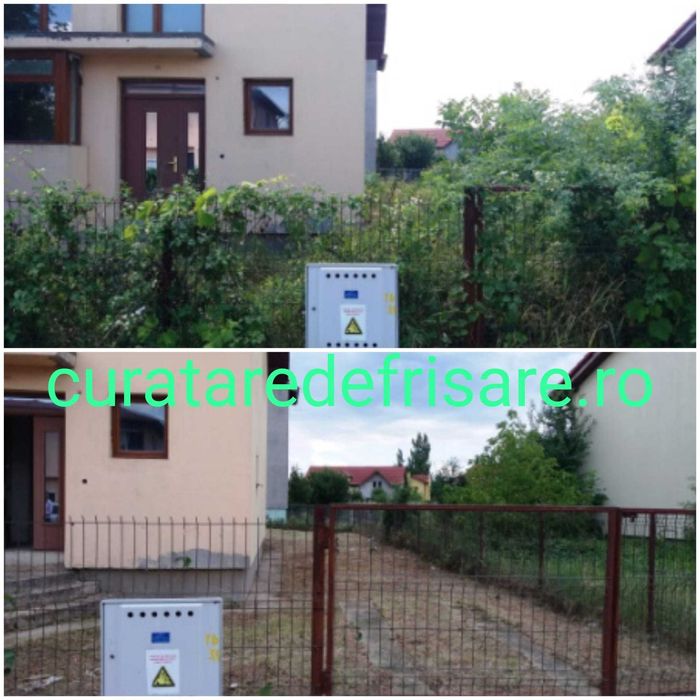 Curatare teren, cosire, defrisare, tocare vegetatie crengi, erbicidare