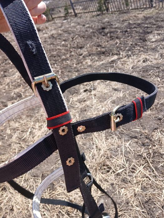 Уздечка для лошадей