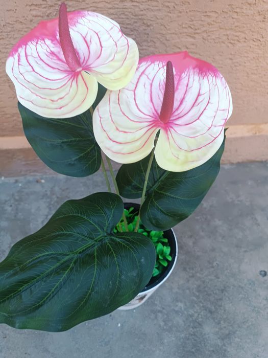 Sunʼiy dekor gullar  Mehr bilan yasalgan