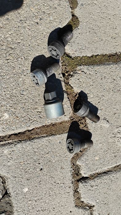 Prezoane antifurt Wag