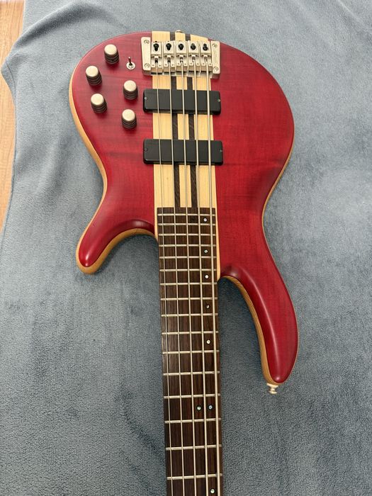Бас китара Cort Artisan 5 Plus