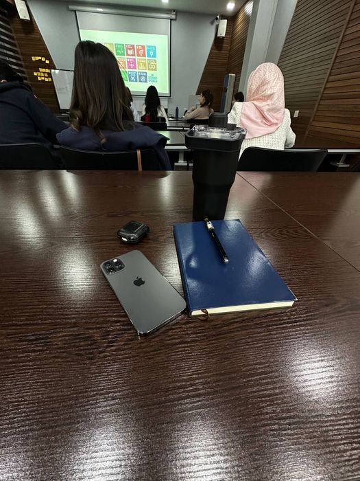 Iphone 12 pro ideal ochlmagan