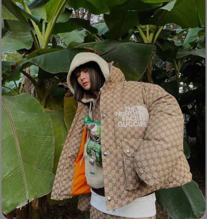 Geacă The North Face