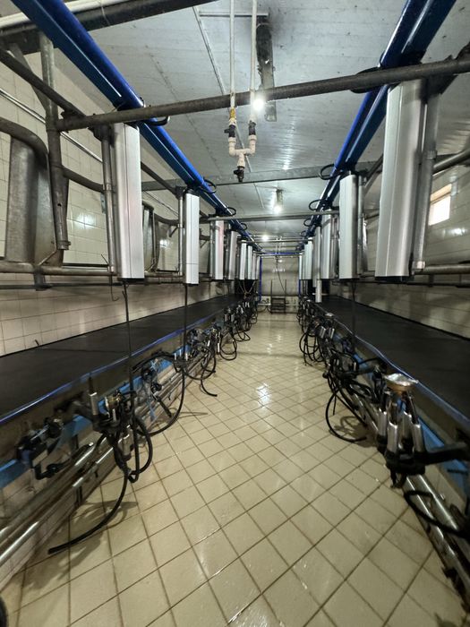 Sala de muls De Laval care a fost achizitioanata de noua !