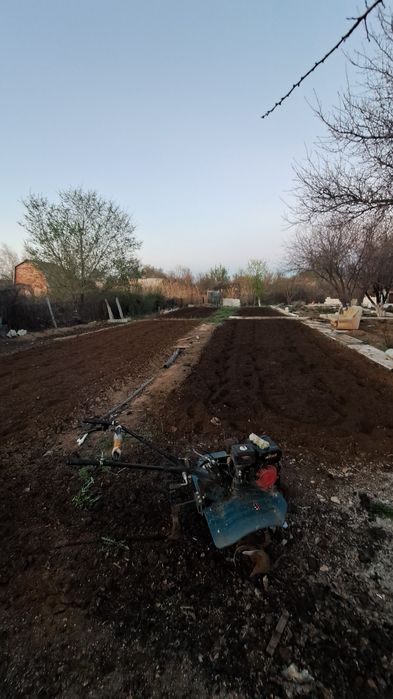 Услуги Кулътиватора