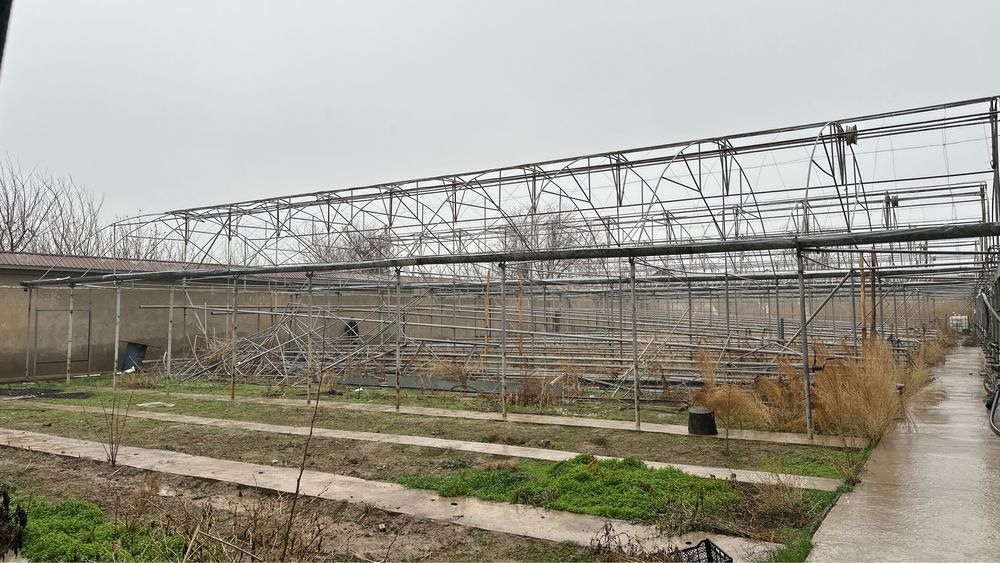 Parnik Srochno sotiladi | Продается теплица