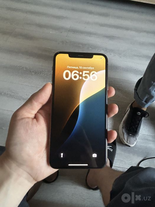 IPhone 11 pro max 256GB 76%