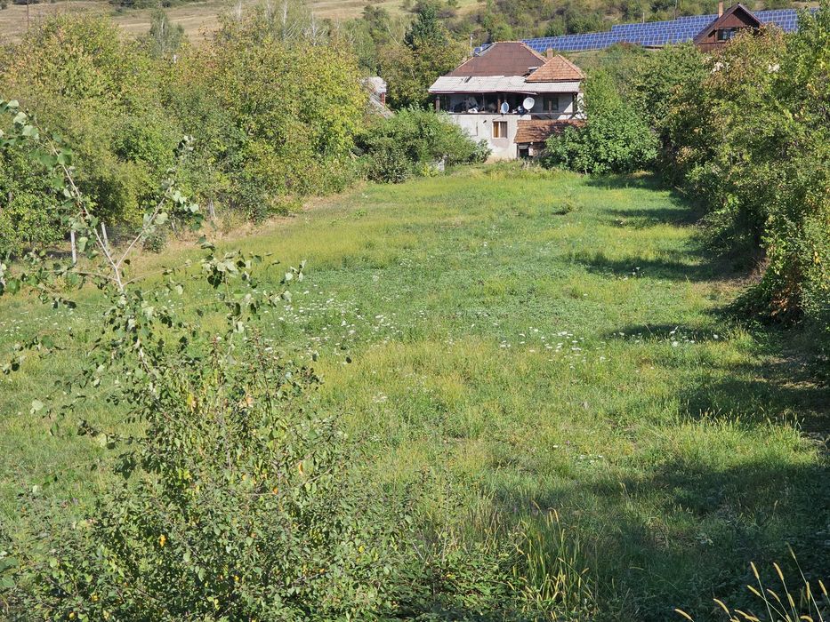 Teren de vânzare intravilan Baia Sprie