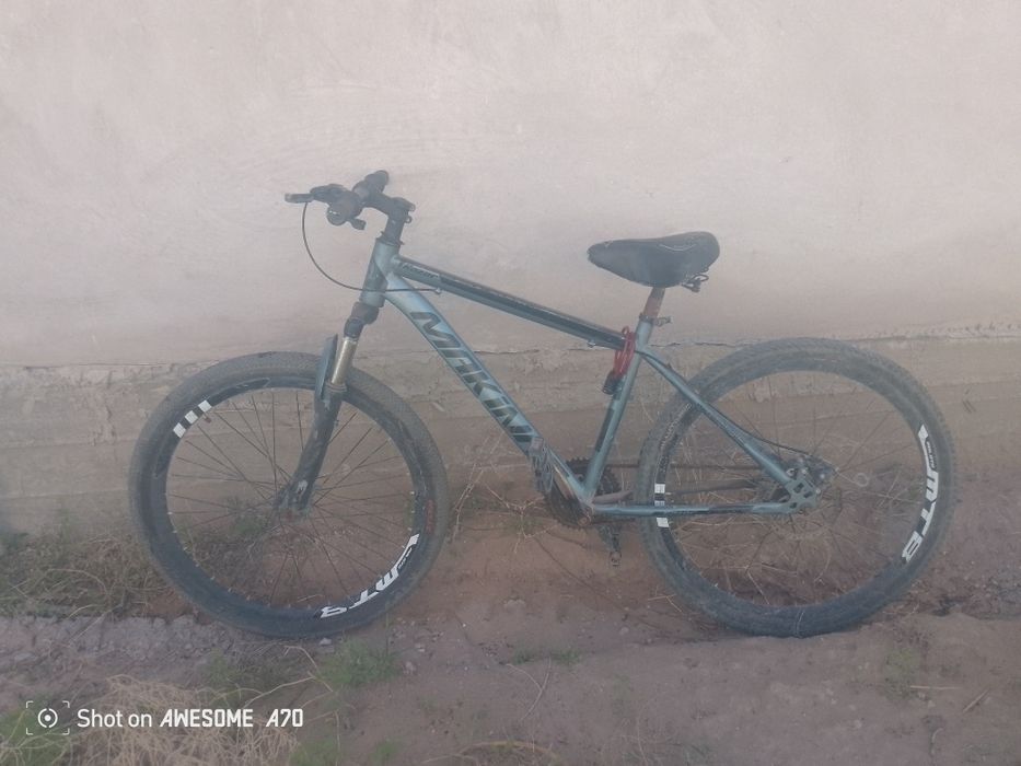 Велик сатылады 40к падарка барыс велик