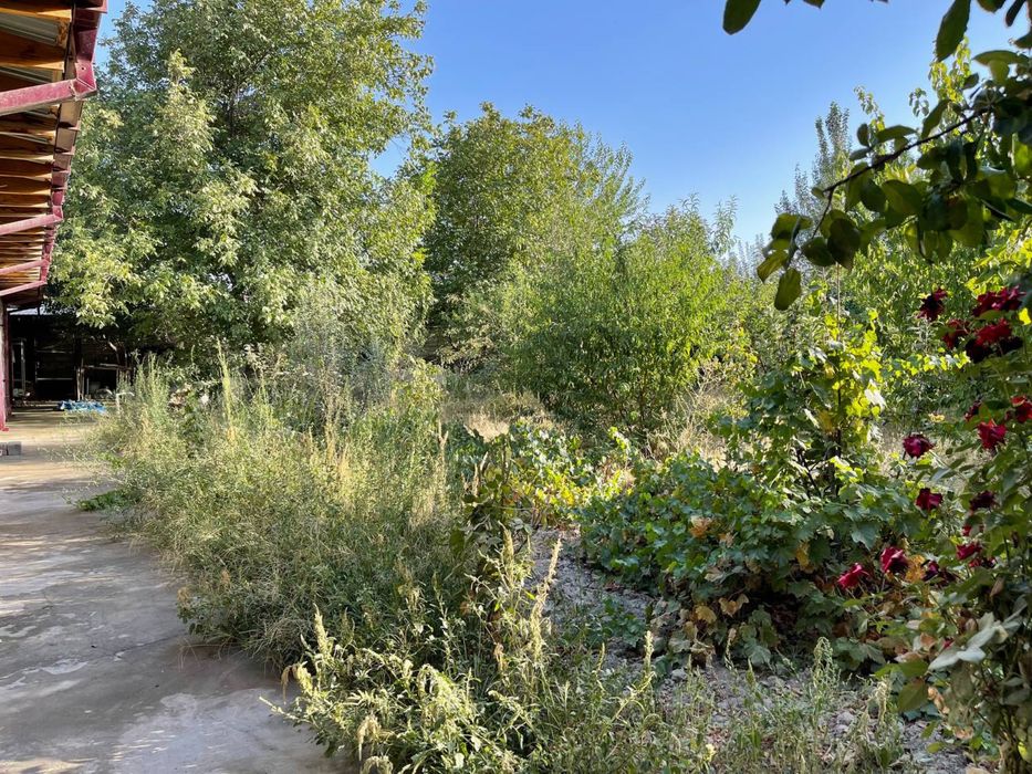 Ховли сотилади Манзил Челак шахри