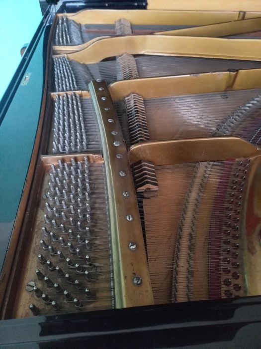 Роял Carl Dörr Wien от началото на ХХ век