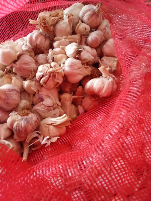 Vand usturoi  si arpagic