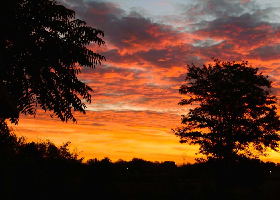 Фотографски услуги