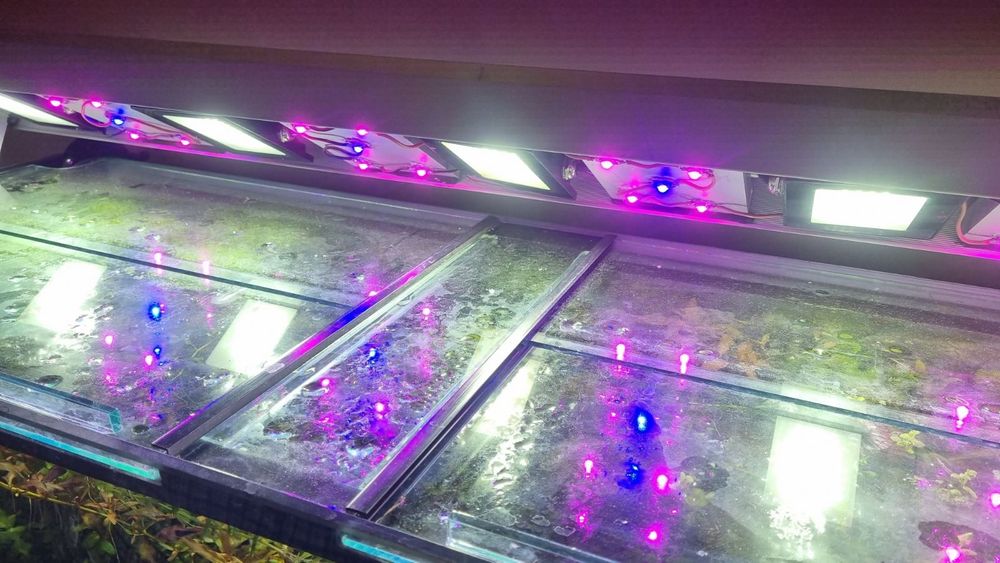 Лампа за аквариум
