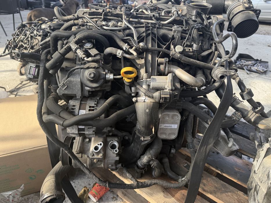 оборидван двигатвл за VW тигулан 2.0 дизел 2015 Г