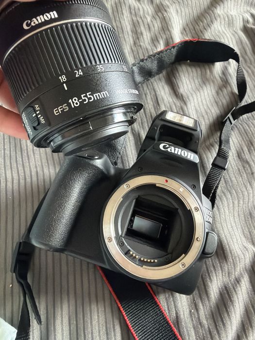 Canon EOS 250D + EF-S 18-55 IS STM