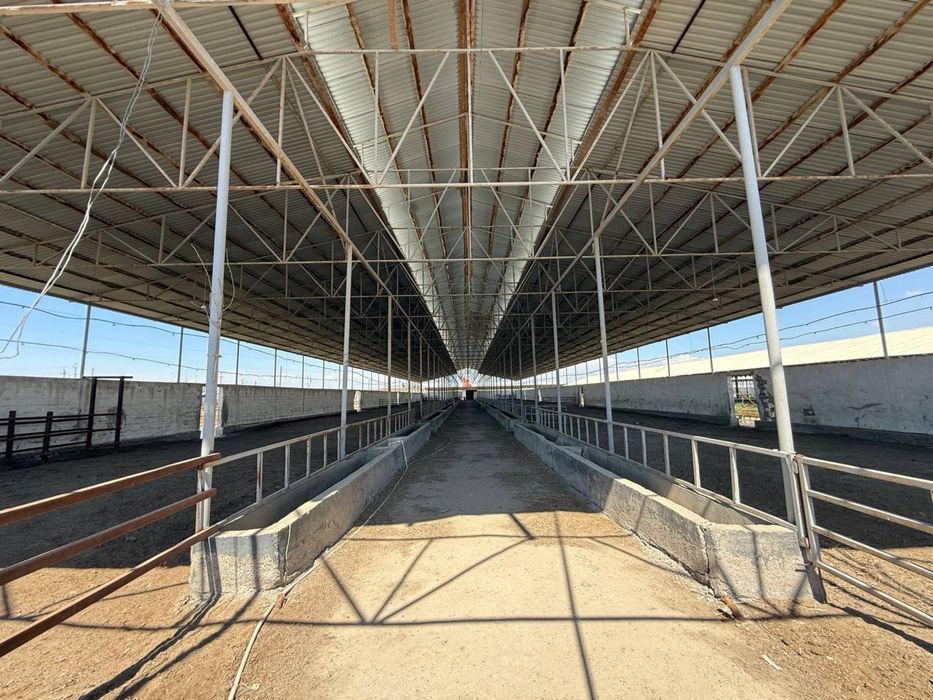 Tayyor 4,5 gektarli ferma sotiladi (Buxoro/kogon)