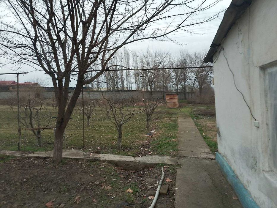 Ер сотилади 93 сотих, Зангиота, Иппадромгачан 8 км