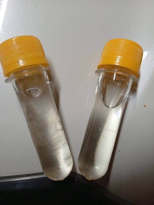 Пихта. Пихтовое масло